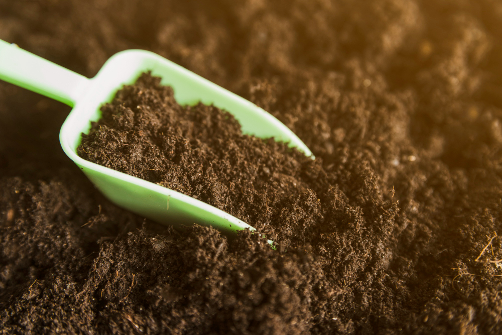 Organic Topsoil