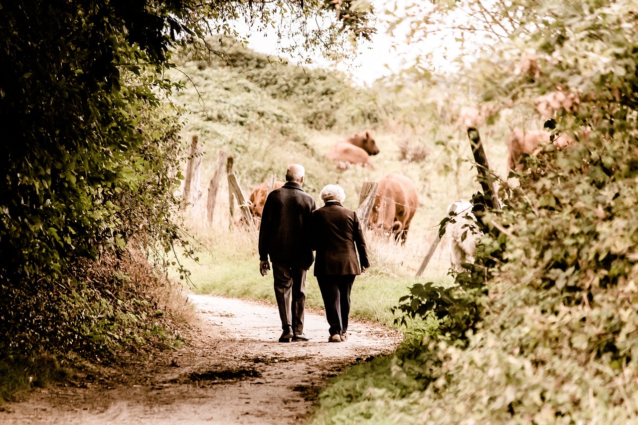 explore comprehensive elderly assistance services designed to enhance the quality of life for seniors. from companionship and daily living support to specialized healthcare, we prioritize safety and dignity for your loved ones.